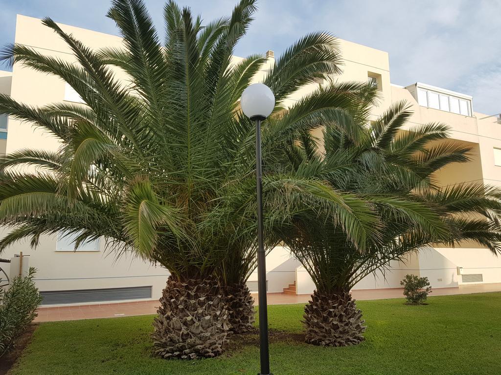 Apartmán Alondras Playa Denia Exteriér fotografie